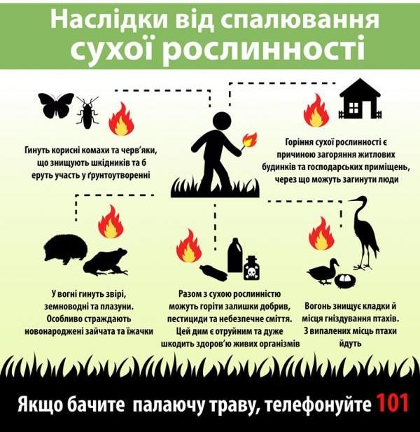 Наслідки від спалювання сухої рослинності Наслідки від спалювання сухої рослинності