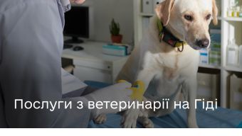 Які ветеринарні сервіси доступні на Гіді з державних послуг?